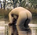 Kjersti Lid Gullvåg nude in Svidd neger