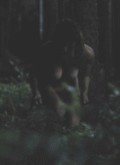 Lake Bell nude in Black Rock