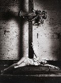 Lara Stone nude in Visionaire