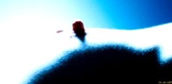 Marie Bos nude in Amer
