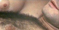 Marie-France Boyer nude in Le bonheur