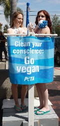 Meggan Anderson in PETA