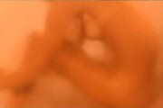 Mireille Darc nude in La grande sauterelle