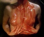Nicole Eggert nude in The Haunting of Morella