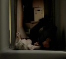 Petra Schmidt-Schaller nude in Nacht vor Augen