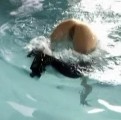 Sara Forestier nude in L'amour est un crime parfait