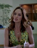 Sarah Wayne Callies in "Prison Break"