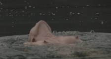 Simona Krainova nude in Vybíjená