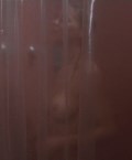 Theresa Scholze nude in Deadly Harvest
