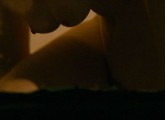 Vica Kerekes nude in Bakkermann