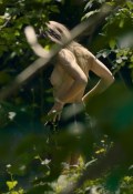 Yvonne Mai nude in Black Bits