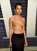 Zöe Kravitz in see  through