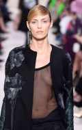 Anja Rubik in see  through