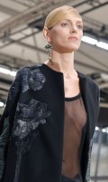 Anja Rubik in see  through