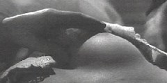 Bibi Andersson nude in Syskonbädd 1782