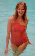 Cheryl Tiegs in see  through