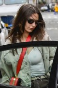 Emily Ratajkowski in see  through