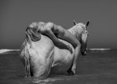 Genevieve Morton nude in 2026 Calendar