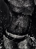 Gisele Bundchen in Vogue BR