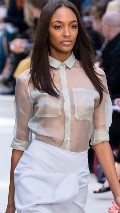 Jourdan Dunn in see through
