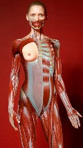 Hana Jirickova nude in Antidote