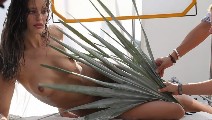 Emily DiDonato nude in photo shoot