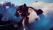 Guinevere van Seenus  nude in James Houston: Natural Beauty