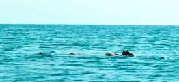 Emma Suarez nude in Una ventana al mar