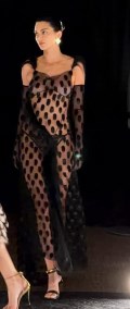 Kendall Jenner in see  through