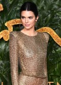 Kendall Jenner in see  through