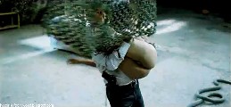 Mallika Sherawat nude in Hisss