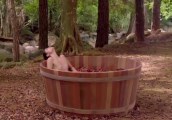 Mariana Fausto nude in Natureza Morta