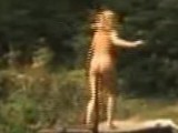 Margit Geissler nude in "Die schöne Wilhelmine"