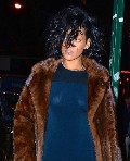 Rihanna in see  through