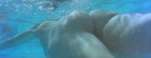 Sylvia Kristel nude in Emmanuelle