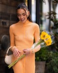 Sophia Culpo in see  through