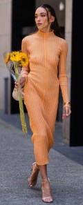 Sophia Culpo in see  through