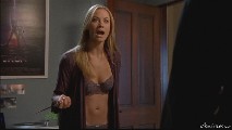 Yvonne Strahovski in "Chuck"