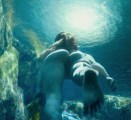 Susan Park nude in Snowpiercer