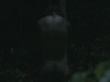 Rose Leslie nude in Honeymoon