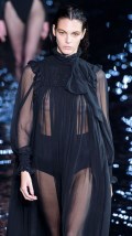 Vittoria Ceretti in see  through