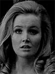 Pippa Steel