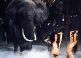 1024x768, 126 KB, Isabeli_Fontana_Daria_Werbowy__Vanity_Fair_n_23_2008-001.jpg