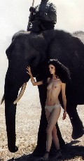 535x768, 63 KB, Mariacarla_Boscono-_Vanity-Fair_n_23-2008_002.jpg