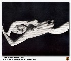 1024x768, 130 KB, snsis-anthony_rolston05.jpg
