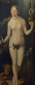 329x768, 40 KB, u-13-eve-Grien-durer.jpg