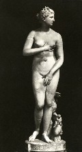 552x768, 56 KB, u-26-venus-medici-uffizi.jpg