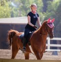 1024x768, 112 KB, Amber_Heard_horseback_riding_in_LA_2.jpg
